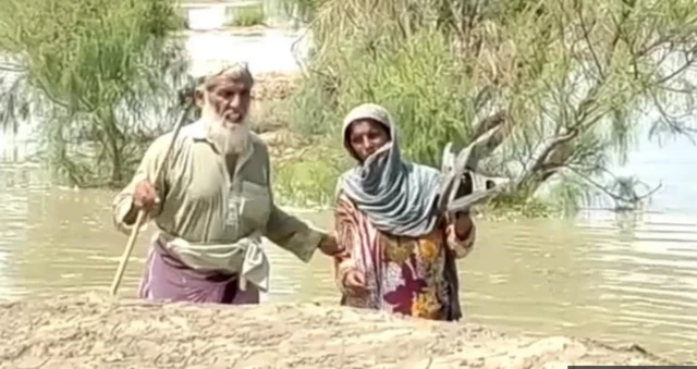 سیلاب