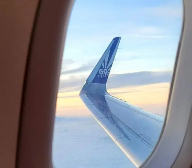 વિદેશી નાગરિકોને પ્લેનમાંથી ઉતારાયા