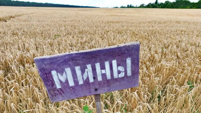 Знак "Мины" в Киевской области, лето 2022 года