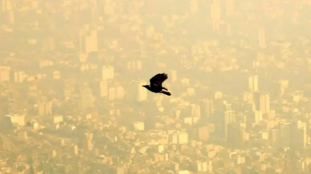 تهران