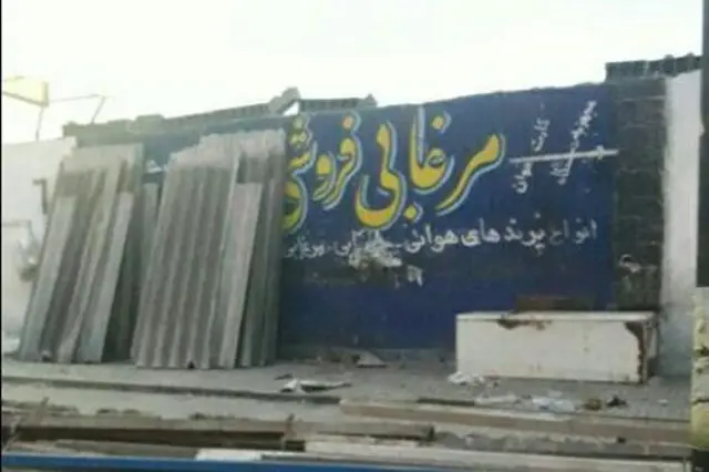 بازار فروش پرندگان فریدونکنار
