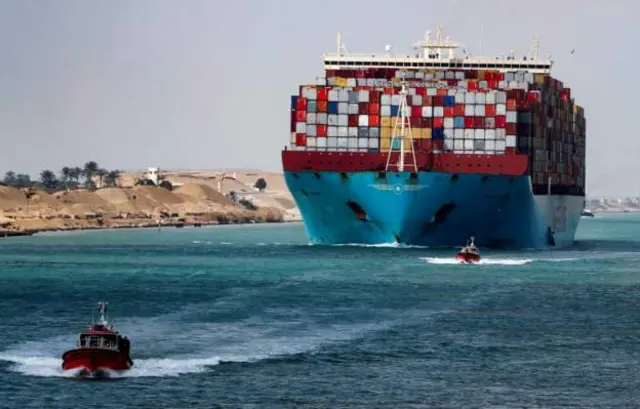 Marin biyoodka  Suez Canal