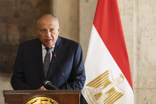 وزير الخارجية المصري