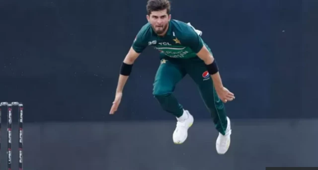 SHAHEEN