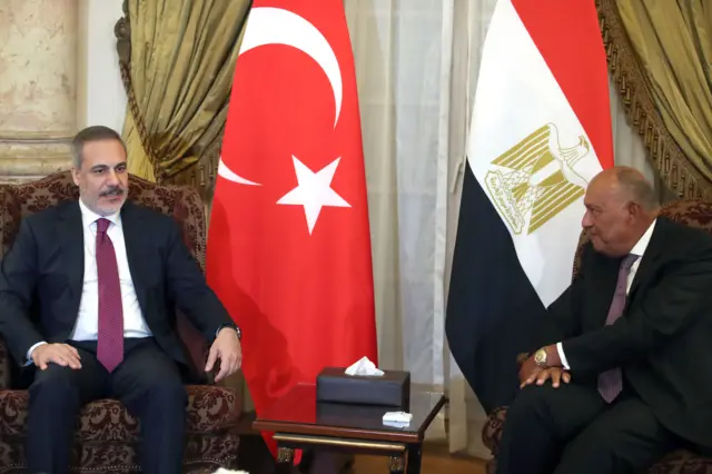 وزير الخارجية المصري ونظيره التركي