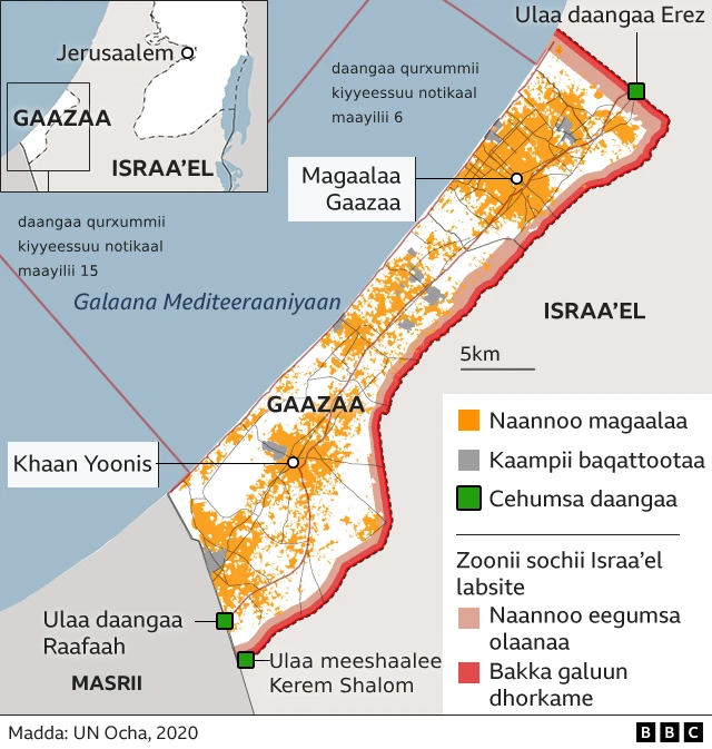Danaa ulaa cehumsaa Gaazaan qabdu agarsiisu