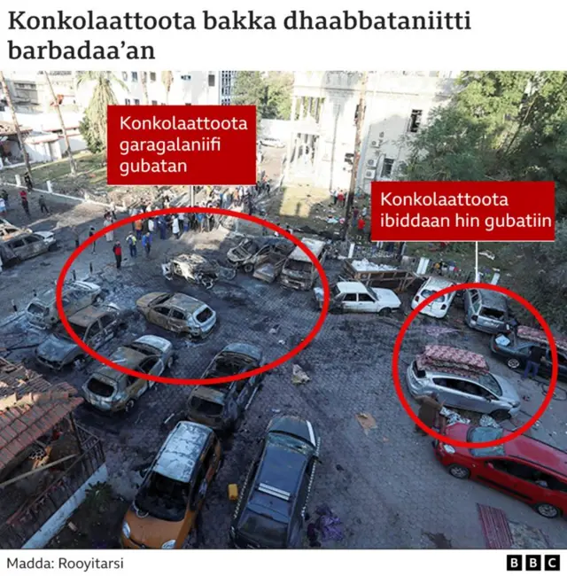 Dho'insa Gaazaatti lubbuu dhibbaatama galaafate