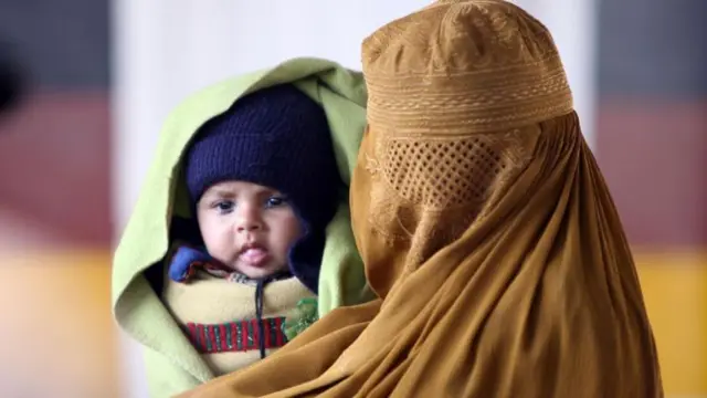 Afghans