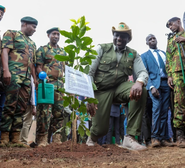 Kenya