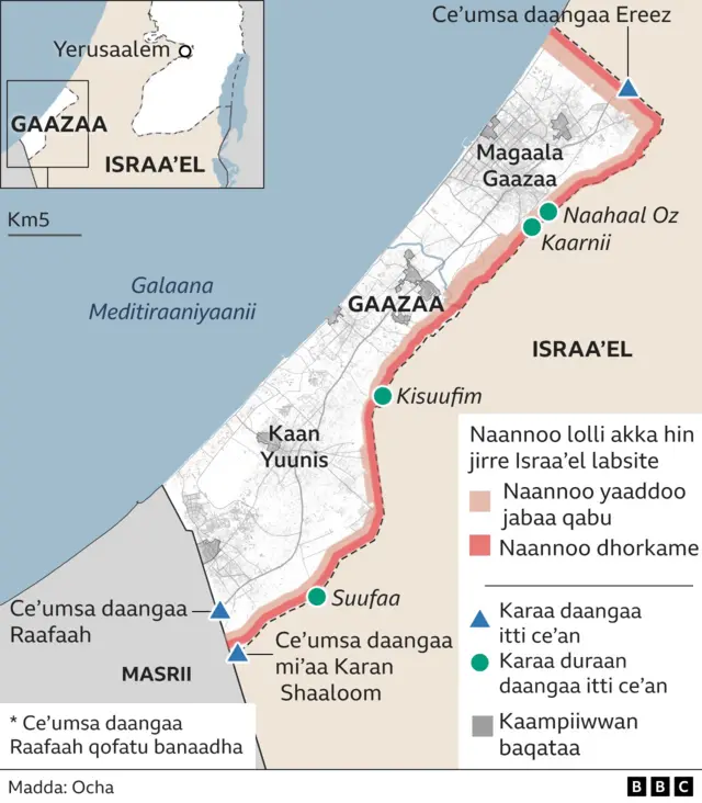 Daanaa Gaazaa