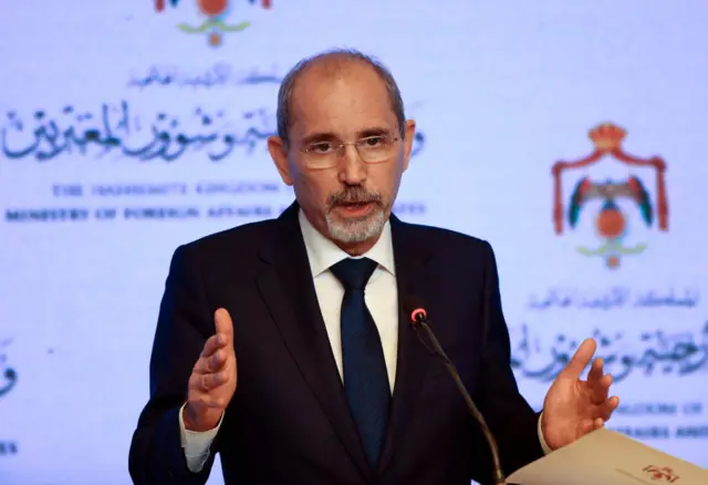 ایمن صفدی