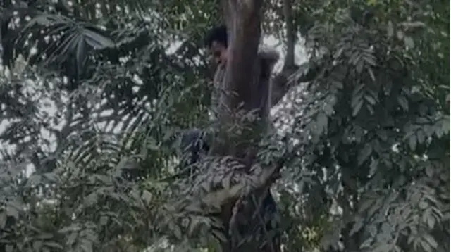 नितिन श्रीवास्तव