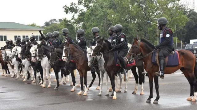 Horses
