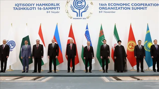 تسنیم