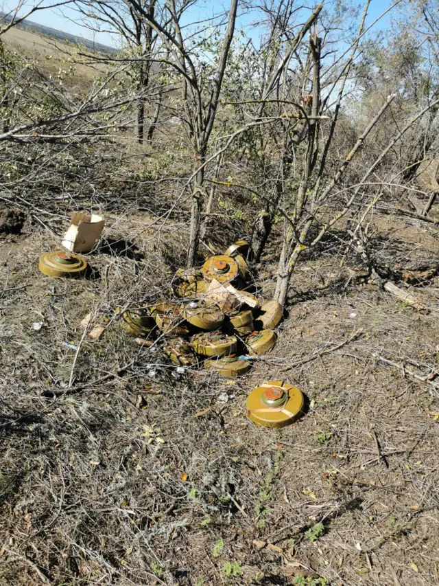 Державна спеціальна служба транспорту