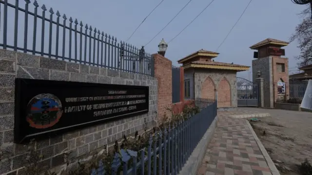 यूनिवर्सिटी का परिसर