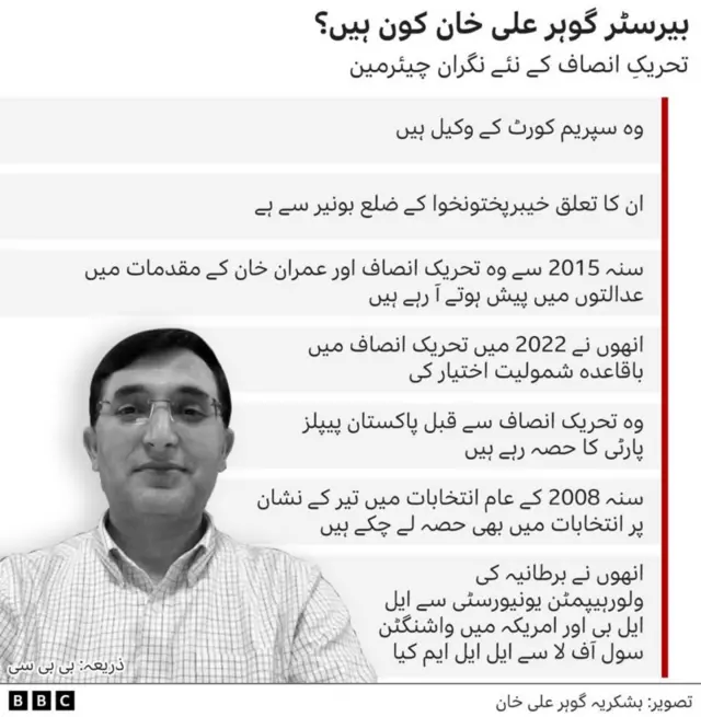 بیرسٹر گوہر