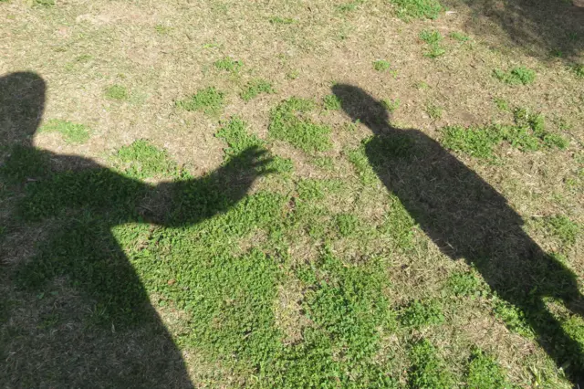 दिल्ली