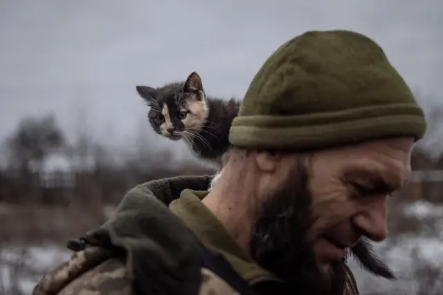 Котенок на плече украинского военнослужащего Микиты из 93-й отдельной механизированной бригады возле линии фронта в Донецкой области