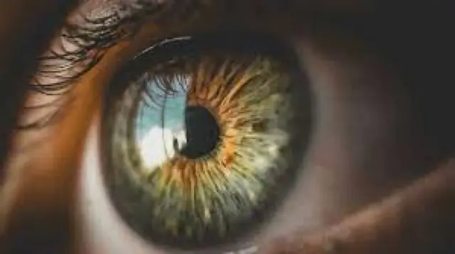 IL
