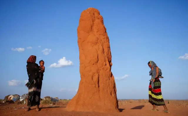 Dumar Oromo ah oo jooga xero barakac magaalada Dubluk ee gobolka Oromiya
