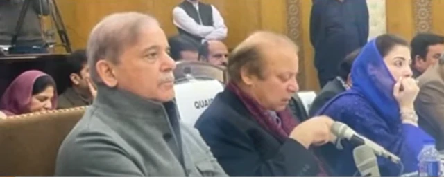نواز شریف شہباز شریف