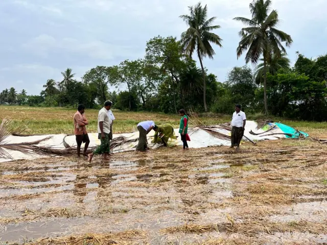 ఏపీలో తడిచిన ధాన్యం