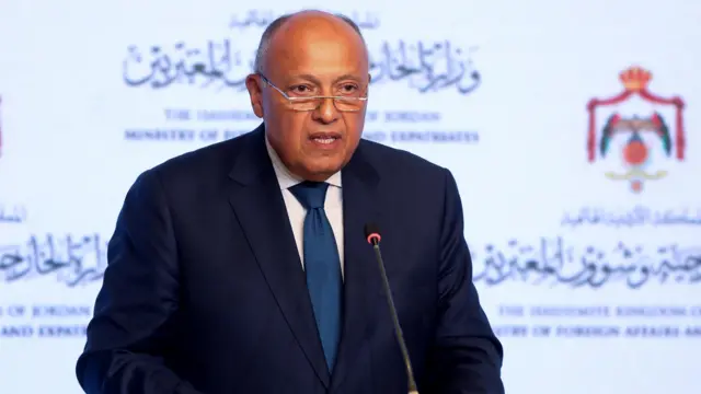 وزير الخارجية المصري