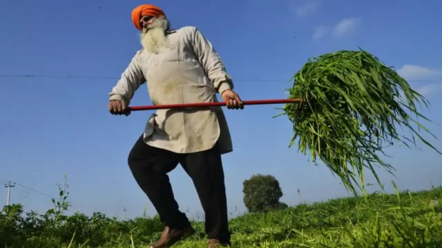 ਪੰਜਾਬ ਆਰਥਿਕਤਾ