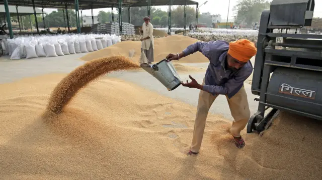 गेहूं