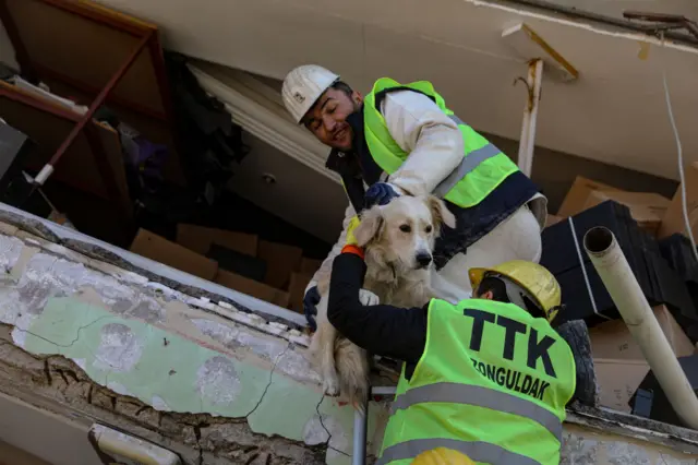 köpek