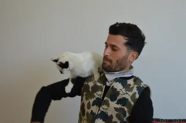 KEDİ