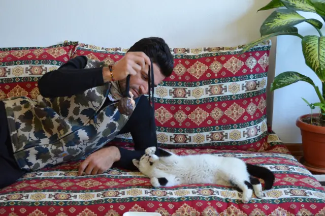KEDİ