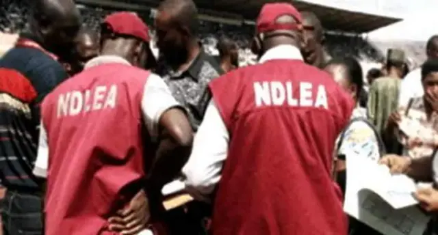 Jami'an NDLEA