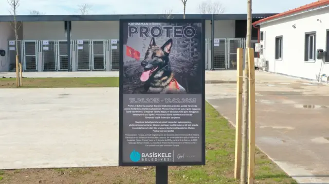 Proteo