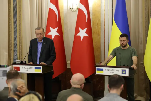 Erdoğan ve Zelenskiy