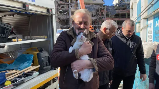 Kedi