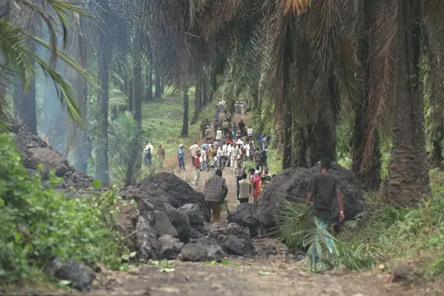 جبل الكاميرون