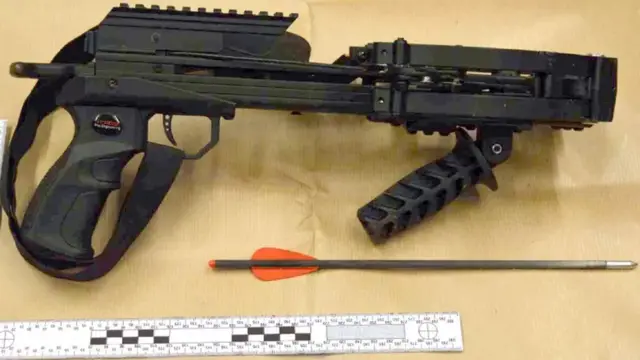Chail's crossbow was found to be comparable to a powerful air rifle with the potential to cause fatal injury