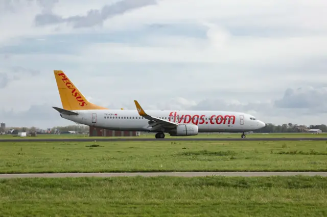 pegasus