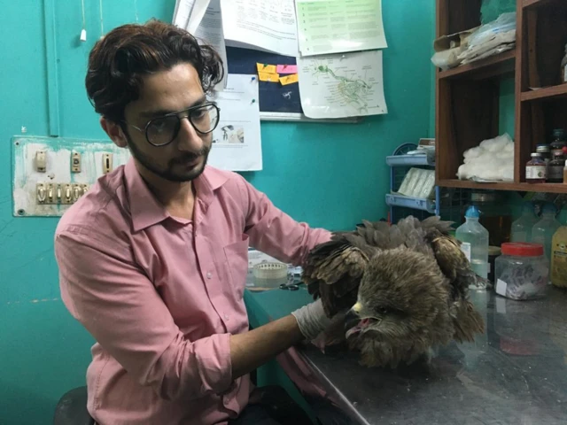 सालिक रहमान