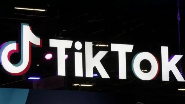Shafin TikTok