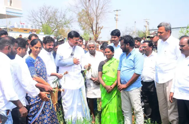 పంటలను పరిశీలిస్తున్న తెలంగాణ మంత్రులు