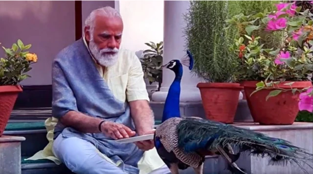 मोदी