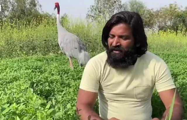आरिफ़ का सारस