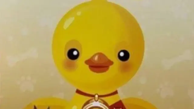 डक