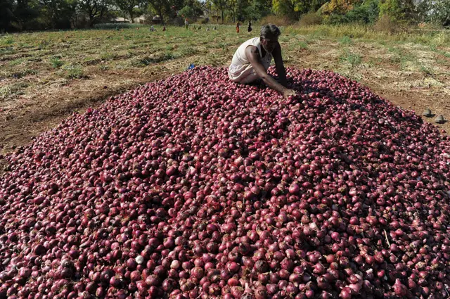 ગુજરાતમાં ડુંગળીનું ઉત્પાદન