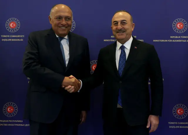 Dışişleri Bakanı Mevlüt Çavuşoğlu ile Mısır Dışişleri Bakanı Samih Şükri
