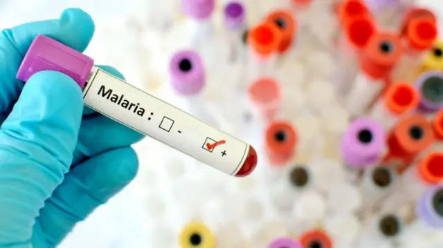 Malaria samole