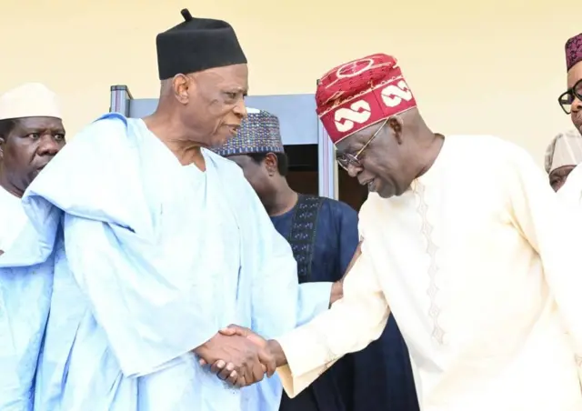 Onyeisioche APC na Tinubu